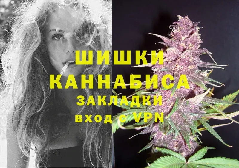 kraken онион  Гороховец  Марихуана White Widow 